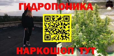 прущие грибы Абакан