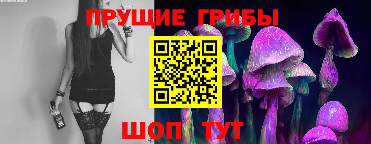 Урюпинск  Галлюциногенные грибы Magic Shrooms  Вход с VPN 